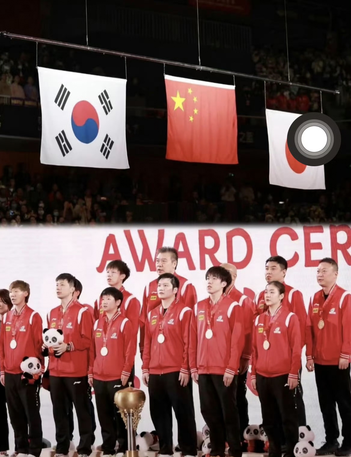 详细阅读:世界杯2024(足球世界杯2024) 世界杯2024(足球世界杯2024)